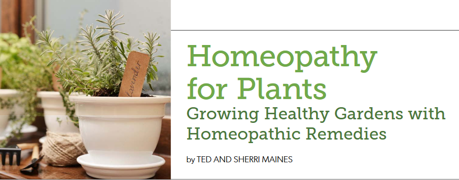(image for) Homeopathy for Plants - Homeopathy Today Article - Winter 2019